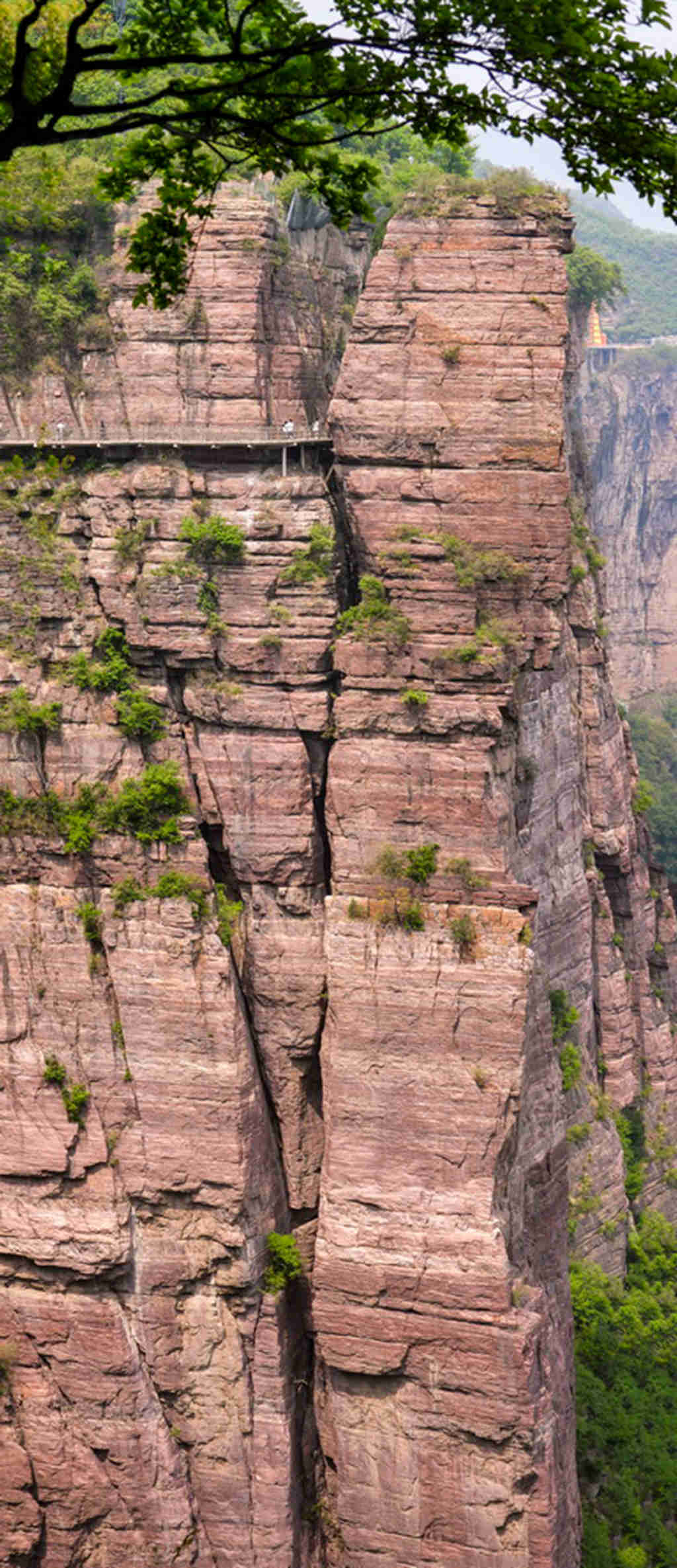 宝泉 (38).jpg