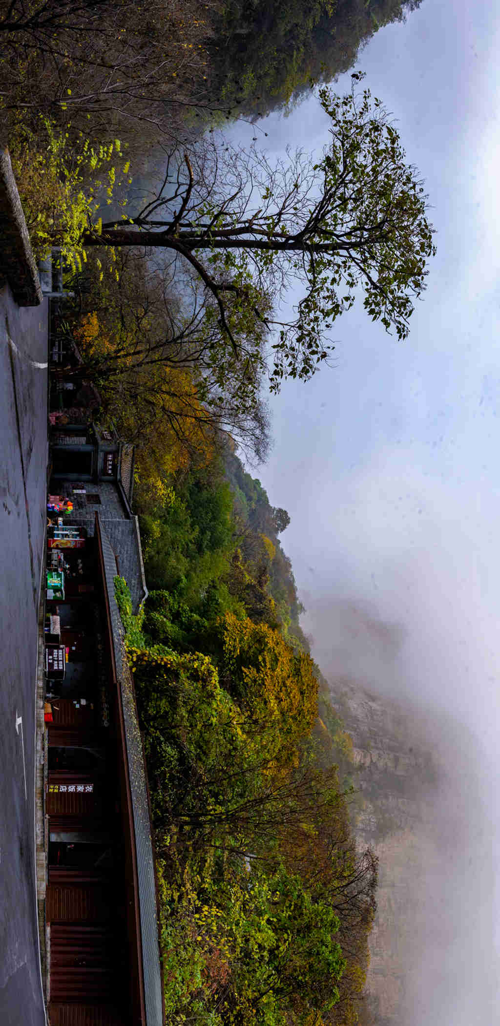 八深�?(43).jpg