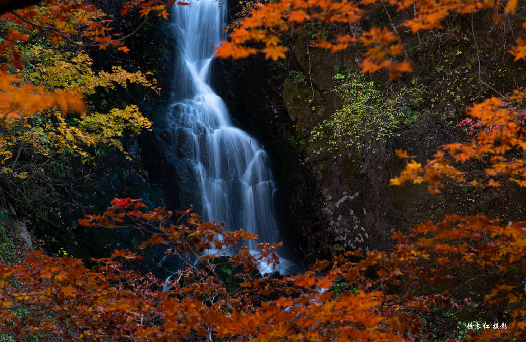 _DSC0044.jpg _DSC0044.jpg