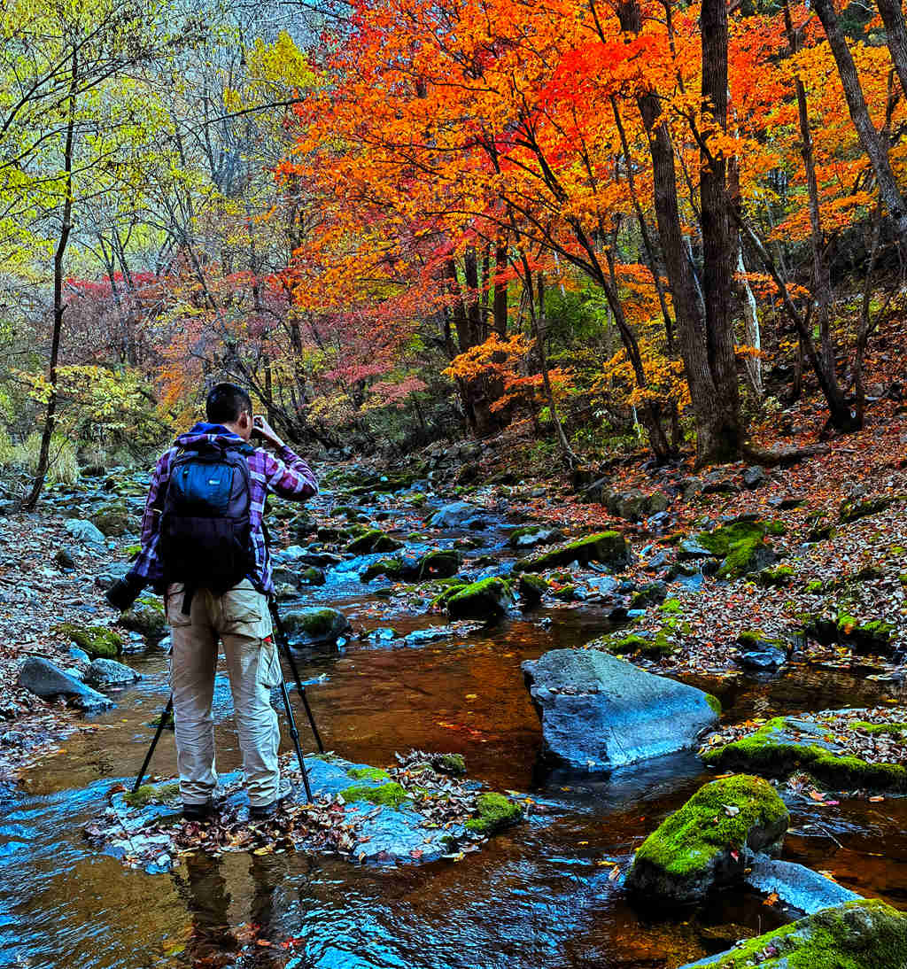 mmexport1697289179456-01.jpg mmexport1697289179456-01.jpg