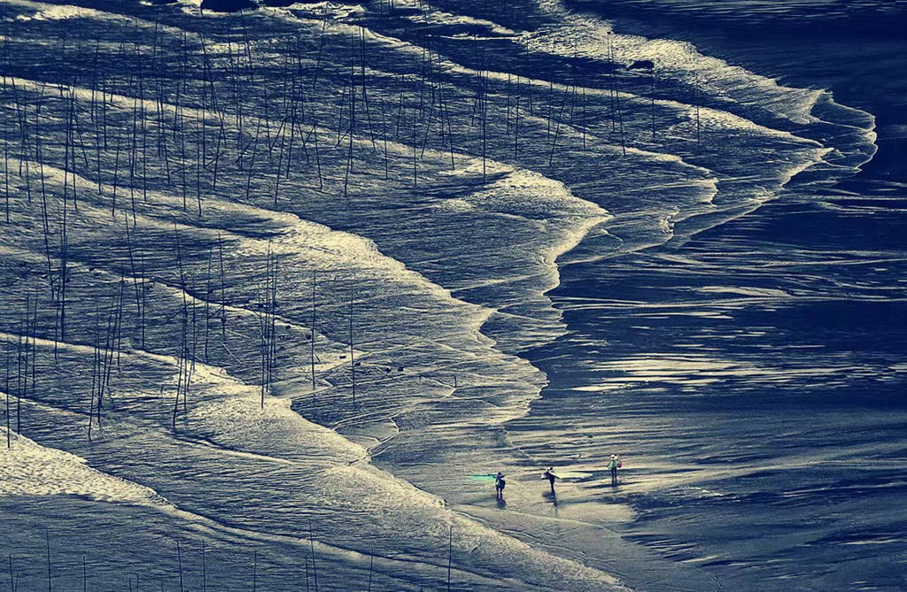 mmexport1721360857959.jpg mmexport1721360857959.jpg