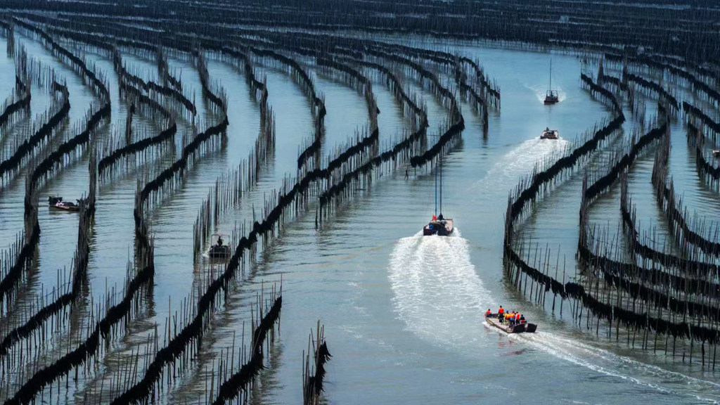 mmexport1715058728359.jpg mmexport1715058728359.jpg