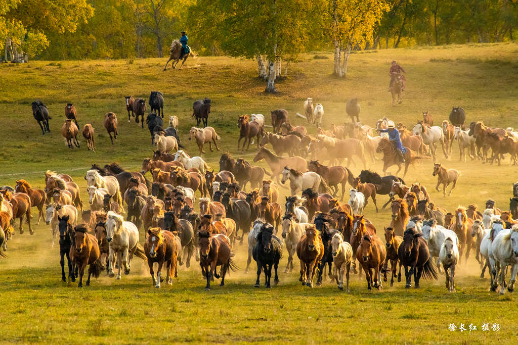 _DSC0448.jpg _DSC0448.jpg