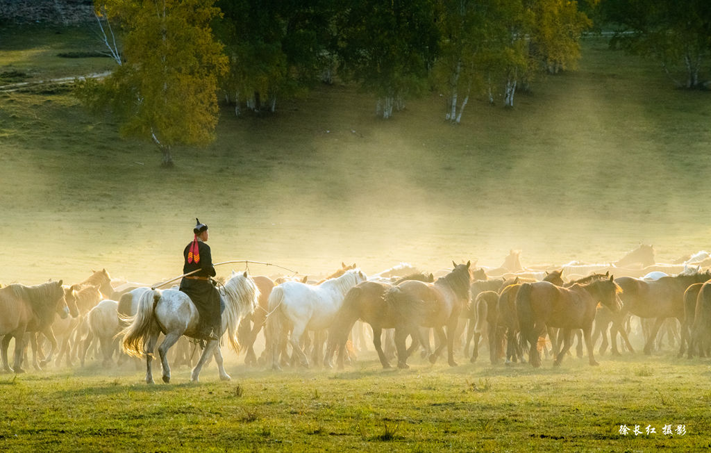 _DSC0379.jpg _DSC0379.jpg