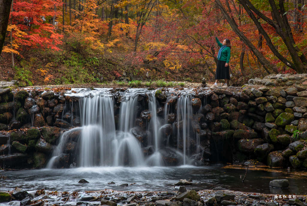 _DSC9527.jpg _DSC9527.jpg