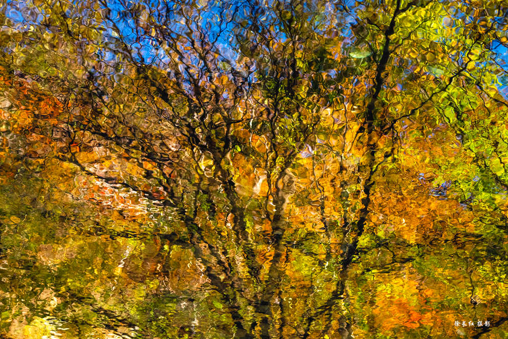 _DSC0222.jpg