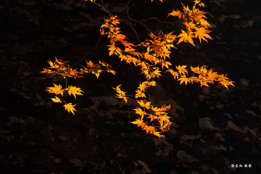 _DSC9845.jpg