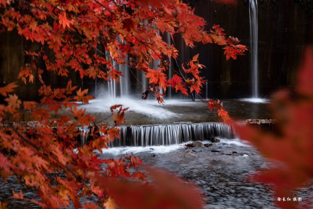 _DSC9407.jpg
