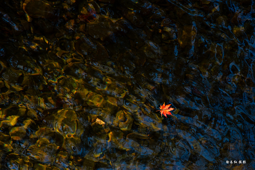 _DSC9701.jpg