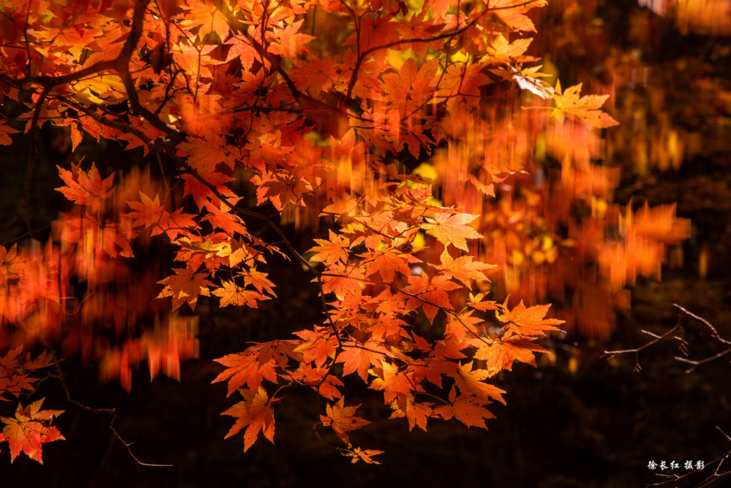 _DSC9883.jpg
